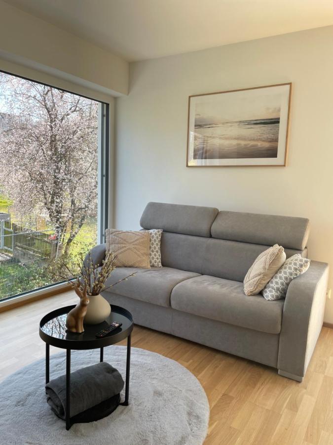 Luxury - Apartment Mit Balkon In Seenaehe Gmunden Zewnętrze zdjęcie